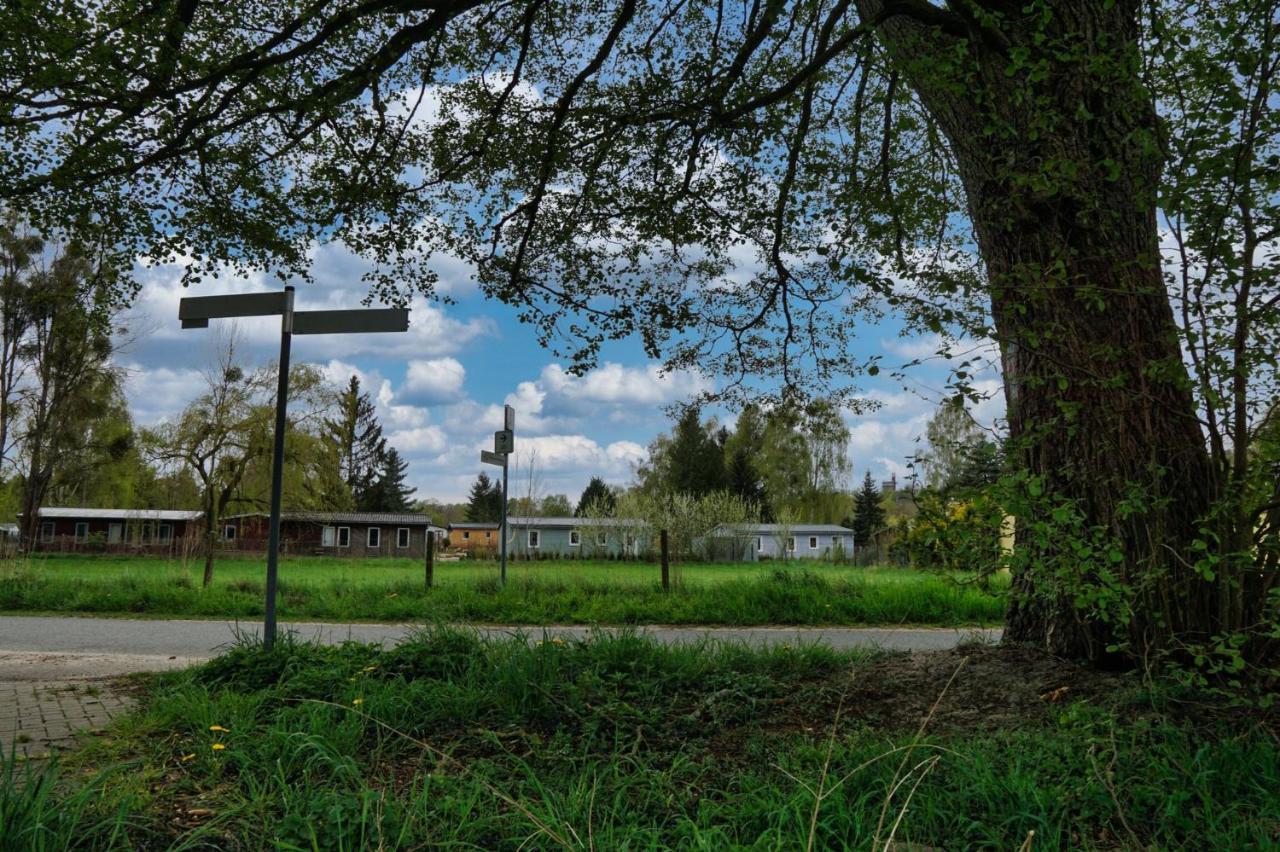 Geraumiges Familienfreundliches Ferienhaus 70 Qm I Strandnah I Terrasse I 2 Schlafzimmer I Nahe Werbellinsee Joachimsthal Exteriör bild